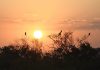 Em sábado de sol, ventos intensificam ar quente e seco em Mato Grosso do Sul 