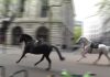 Vídeo: Cavalos correm soltos pelo centro de Londres e deixam vários feridos