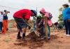 Ação Cidadania ECOmunitária planta árvores e semeia a ideia de que o futuro é ancestral